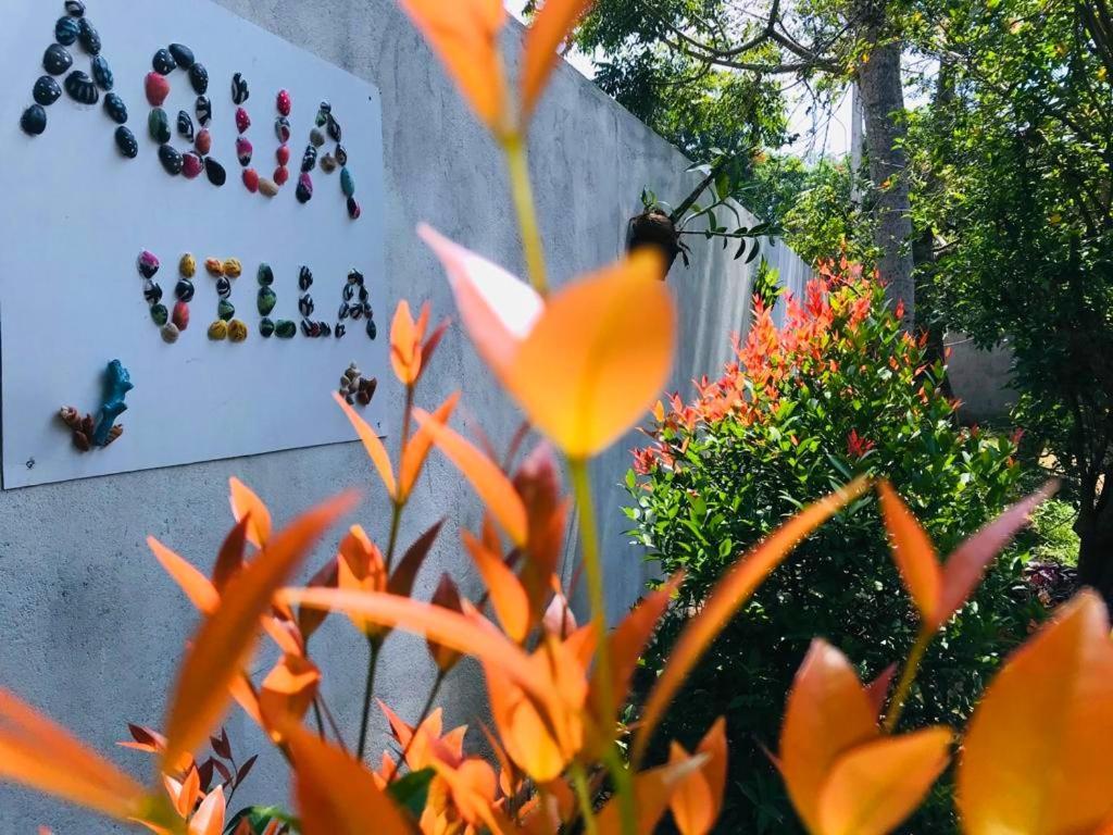 New Aqua Villa 韦利格默 外观 照片